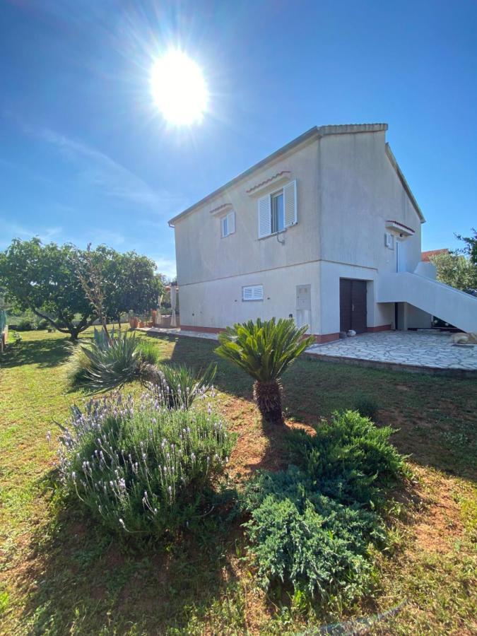 Beautiful Island House Ugljan Apartamento Exterior foto