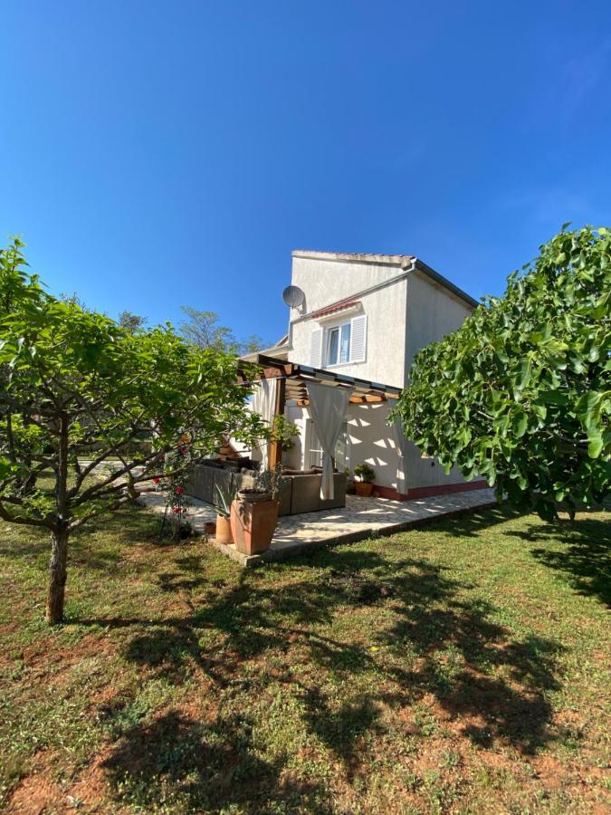 Beautiful Island House Ugljan Apartamento Exterior foto